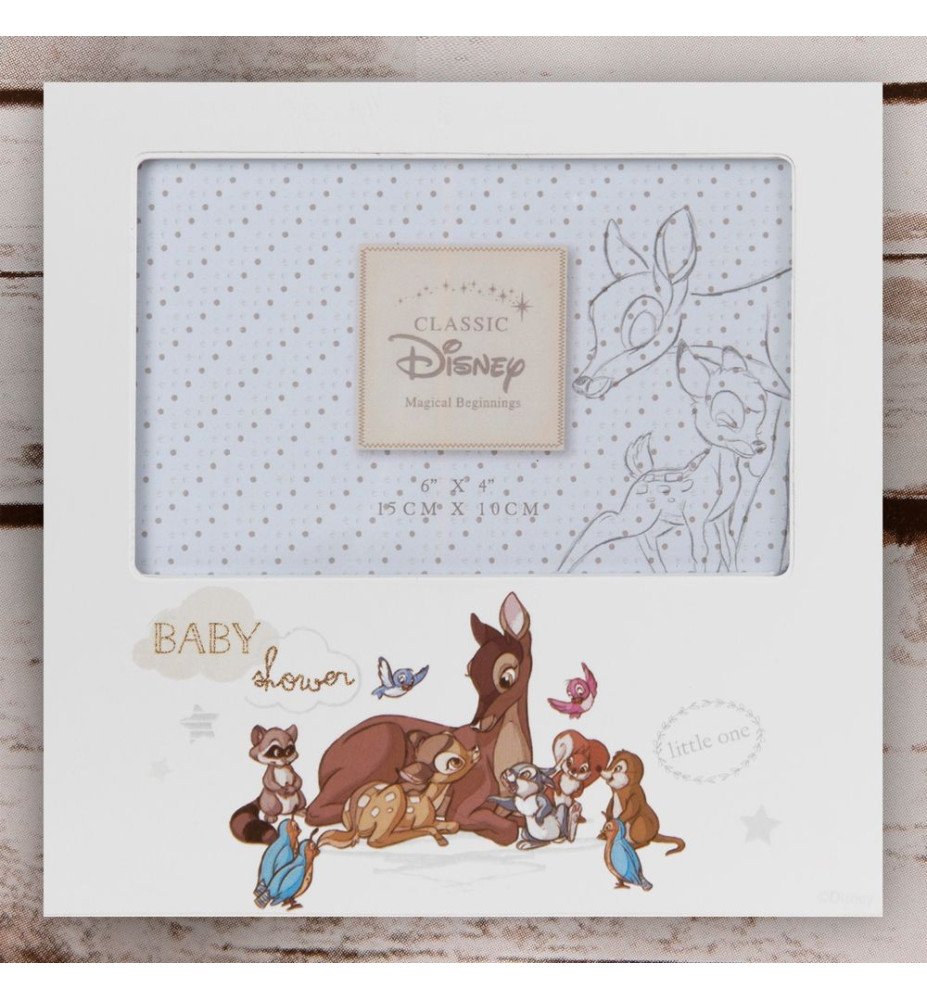 Cadre photo Bambi et Panpan