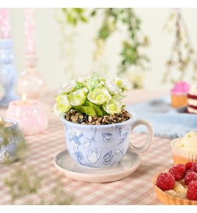 Pot de fleurs Alice aux Pays des Merveilles - Vaisselle