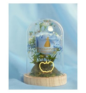 Cloche florale avec néon princesses Disney - Cendrillon